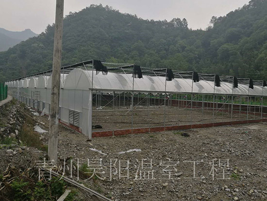 陜西略陽蕙蘭養(yǎng)殖溫室